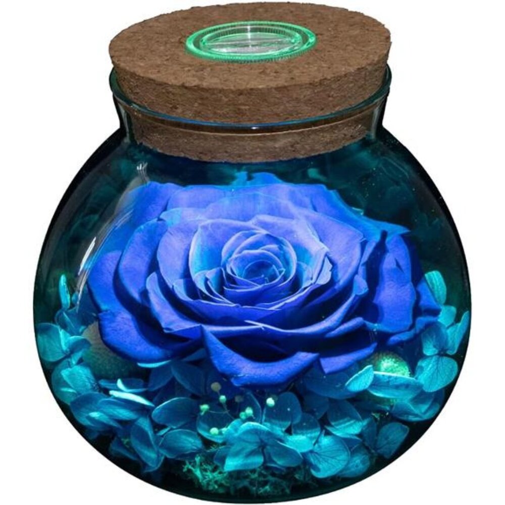 Preserved Real Roses with Colorful Mood Light Wishing Bottle, Eternal